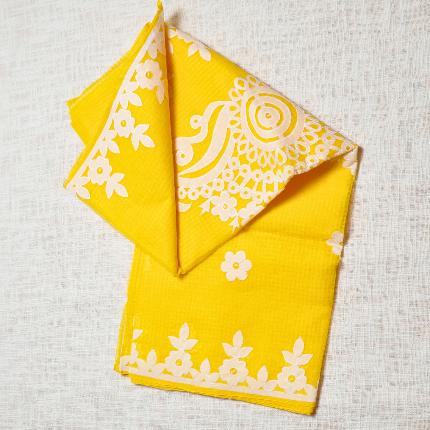 Grace Woven in Threads – Resam Kota Applique Saree ✨