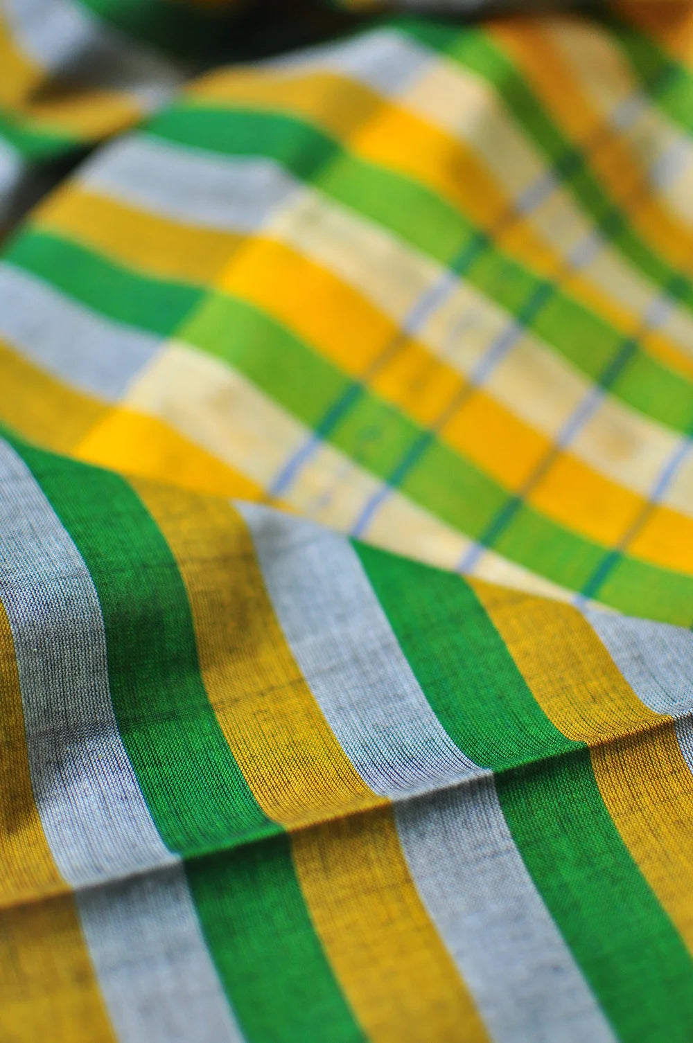 Harvest Stripe Dhaniakhali